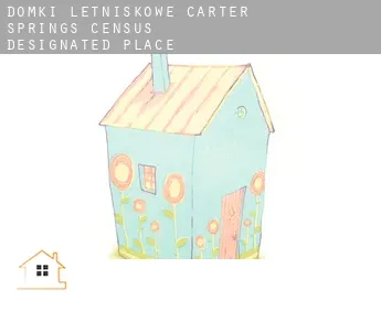 Domki letniskowe  Carter Springs