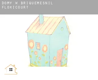 Domy w  Briquemesnil-Floxicourt