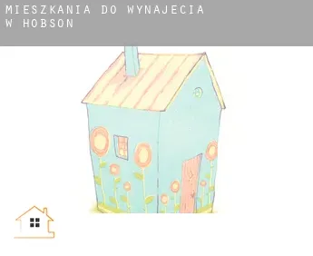 Mieszkania do wynajęcia w  Hobson