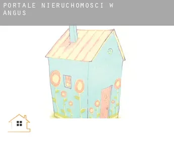 Portale nieruchomości w  Angus