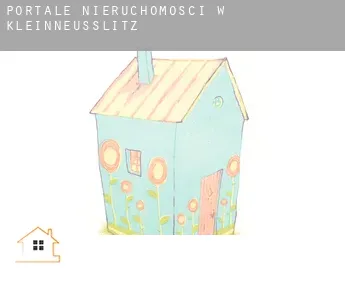 Portale nieruchomości w  Kleinneusslitz