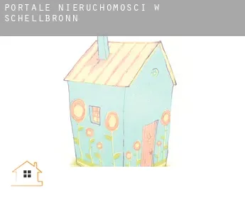 Portale nieruchomości w  Schellbronn