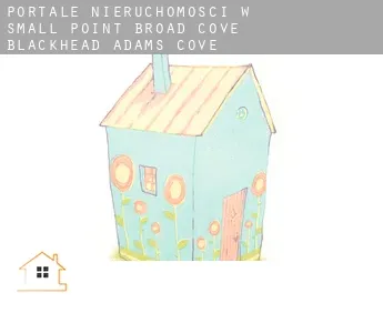 Portale nieruchomości w  Small Point-Broad Cove-Blackhead-Adams Cove