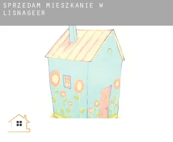 Sprzedam mieszkanie w  Lisnageer