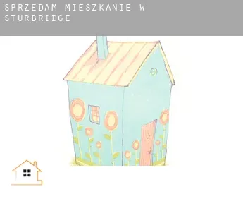 Sprzedam mieszkanie w  Sturbridge
