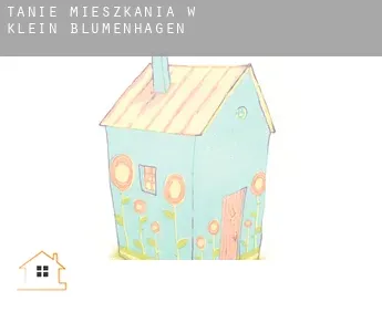 Tanie mieszkania w  Klein Blumenhagen