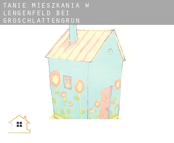 Tanie mieszkania w  Lengenfeld bei Groschlattengrün