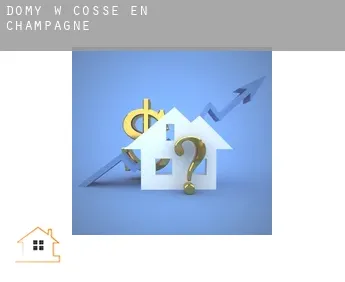 Domy w  Cossé-en-Champagne