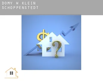 Domy w  Klein Schöppenstedt