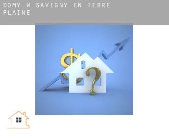 Domy w  Savigny-en-Terre-Plaine