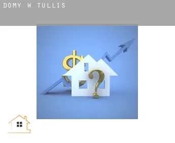 Domy w  Tullis