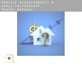 Portale nieruchomości w  Powiat brzeski (Opole Voivodeship)