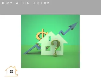 Domy w  Big Hollow