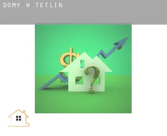 Domy w  Tetlin