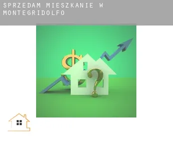 Sprzedam mieszkanie w  Montegridolfo