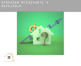 Sprzedam mieszkanie w  Napajedla