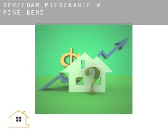 Sprzedam mieszkanie w  Pine Bend