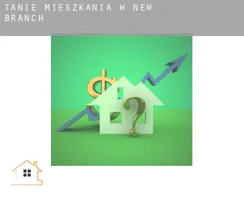 Tanie mieszkania w  New Branch