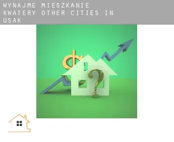Wynajmę mieszkanie kwatery  Other cities in Usak