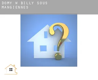 Domy w  Billy-sous-Mangiennes