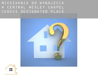 Mieszkania do wynajęcia w  Central Wesley Chapel