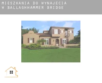 Mieszkania do wynajęcia w  Ballaghhammer Bridge