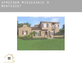 Sprzedam mieszkanie w  Montessut