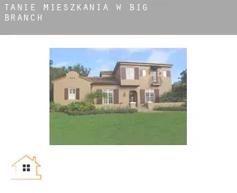 Tanie mieszkania w  Big Branch
