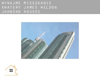 Wynajmę mieszkanie kwatery  James Weldon Johnson Houses