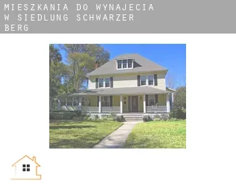 Mieszkania do wynajęcia w  Siedlung Schwarzer Berg