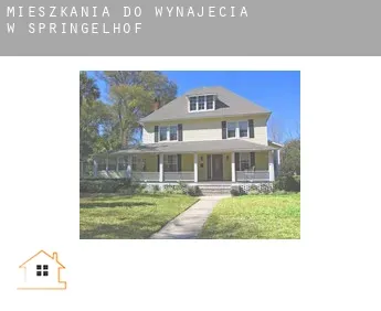 Mieszkania do wynajęcia w  Springelhof
