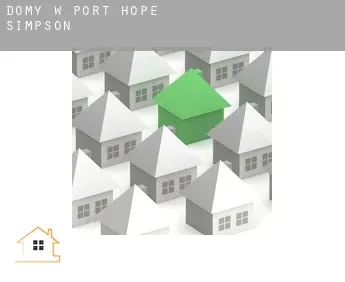 Domy w  Port Hope Simpson