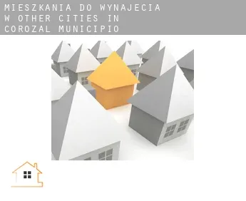 Mieszkania do wynajęcia w  Other cities in Corozal Municipio