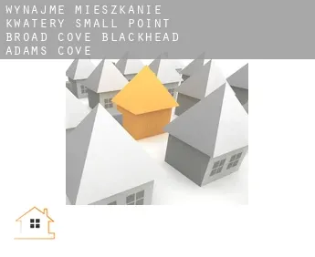 Wynajmę mieszkanie kwatery  Small Point-Broad Cove-Blackhead-Adams Cove