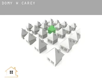Domy w  Carey