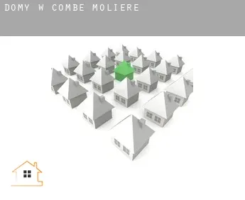 Domy w  Combe-Molière