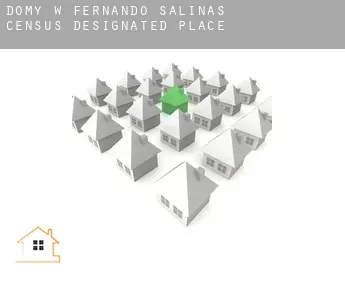 Domy w  Fernando Salinas