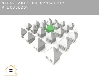 Mieszkania do wynajęcia w  Drüsedow
