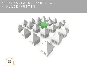 Mieszkania do wynajęcia w  Muldenhütten
