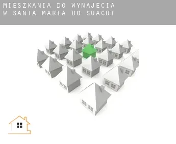 Mieszkania do wynajęcia w  Santa Maria do Suaçuí