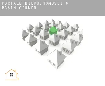 Portale nieruchomości w  Basin Corner
