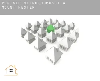 Portale nieruchomości w  Mount Hester