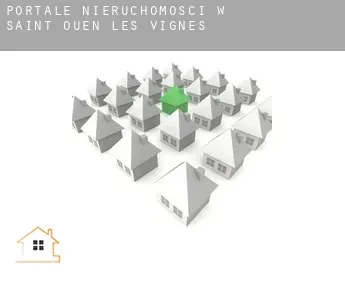 Portale nieruchomości w  Saint-Ouen-les-Vignes