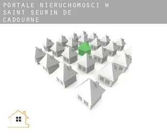 Portale nieruchomości w  Saint-Seurin-de-Cadourne