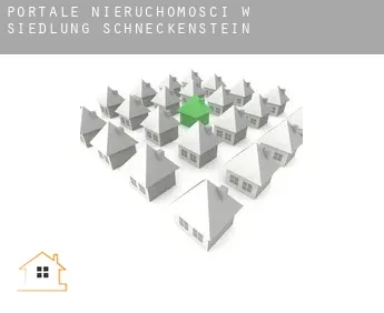 Portale nieruchomości w  Siedlung Schneckenstein