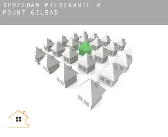 Sprzedam mieszkanie w  Mount Gilead