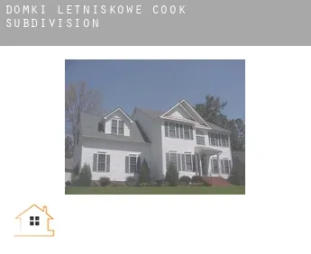 Domki letniskowe  Cook Subdivision