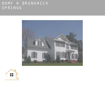 Domy w  Brunswick Springs