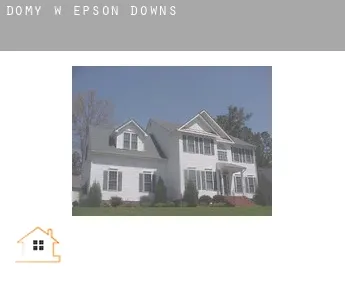 Domy w  Epson Downs
