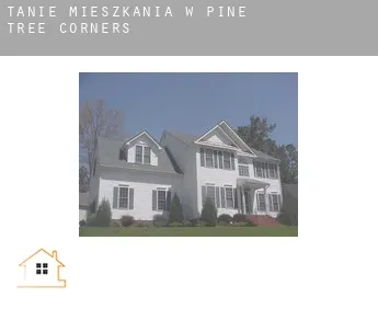 Tanie mieszkania w  Pine Tree Corners
